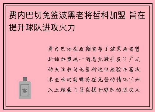 费内巴切免签波黑老将哲科加盟 旨在提升球队进攻火力